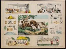 1880 vache lithographie d'occasion  France