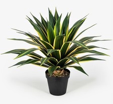 Inch tall large for sale  Ashford