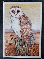Completed barn owl for sale  RETFORD