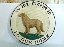Montana big sky for sale  Terre Haute