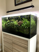 metal aquarium stand for sale for sale metal aquarium stand for sale for sale WALTHAM ABBEY