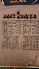 Imperian guardsman cadian for sale  PAISLEY