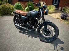 2018 mutt mongrel for sale  NORTHAMPTON