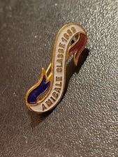 Rare insigne emaillée d'occasion  Grenoble-