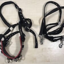 Lunging & Training Equipment for sale  BRIDGEND