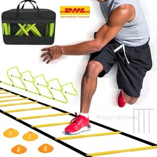 Agility training koordinations gebraucht kaufen  Aspisheim, Grolsheim