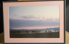 Vintage framed photograph for sale  Fort Collins