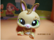 Petshop rabbit nain d'occasion  Expédié en Belgium