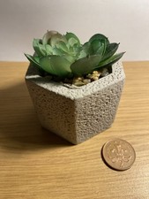 Artificial succulent plants for sale  WREXHAM