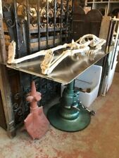 Veterinary examination table for sale  LOWESTOFT