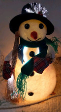 fiber optic decorations for sale  BLACKWOOD