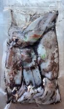 Frozen fishing bait for sale  NEWTON ABBOT