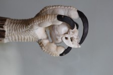 Memento mori vanité d'occasion  Lambesc