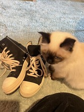 Rick wens sneaker gebraucht kaufen  Mannheim
