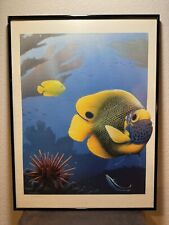 Blueface angel fish for sale  Braselton