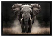 Fußmatte elefant f2635 gebraucht kaufen  Limbach-Oberfrohna