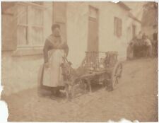 Dog albumen print d'occasion  Expédié en Belgium