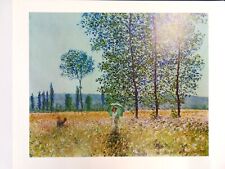 Poster claude monet usato  Foligno