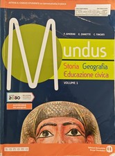 Amerini zanette c.tincati usato  Milano