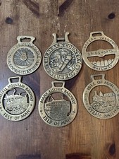 Railway horse brasses for sale  COVENTRY