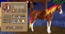 Wild horse islands for sale  Schenectady