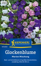 Kiepenkerl glockenblumensamen  gebraucht kaufen  Aurich