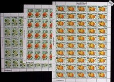 MF 50X MARROCOS 1977 - MNH - FRUTAS, FLORA - LENÇÓIS DOBRADOS, usado comprar usado  Enviando para Brazil
