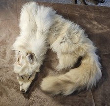 Beautiful extra fluffy for sale  Holland