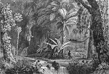 French guiana indian d'occasion  Expédié en Belgium