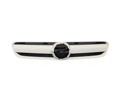 Kühlergrill grill frontgrill gebraucht kaufen  Wachtendonk
