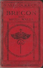 Early ward lock for sale  HAVANT