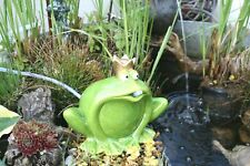 Wasserspeier froschkönig pump gebraucht kaufen  Blieskastel