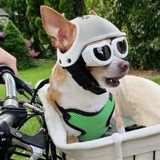 Certified adjustable dog for sale  LONDON