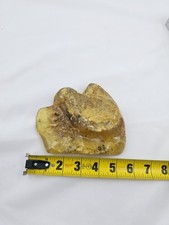 Copal amber columbia for sale  Las Vegas