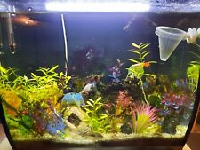 Fluval komplett aquarium gebraucht kaufen  Köln