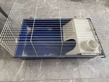 Extra large pet for sale  LIVERPOOL