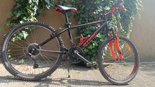 Mountain bike twin usato  San Donato Milanese