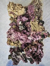 1kg live rock for sale  FOLKESTONE