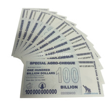 10 peças girafa de cem bilhões de dólares Zimbábue coleção de papel nota presente comprar usado  Enviando para Brazil