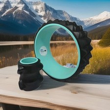 Chirp wheel massage for sale  Mount Pleasant