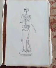 1836 antique anatomy for sale  TETBURY