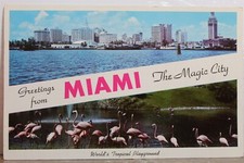 Cartão postal antigo antigo cartão antigo antigo Florida FL Magic City Greetings Tropical Playground PC comprar usado  Enviando para Brazil