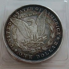 Dollar morgan 1881 usato  Italia