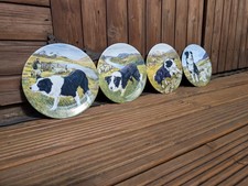 Set border collie for sale  POULTON-LE-FYLDE
