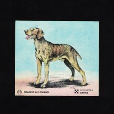 Autocollant sticker vintage d'occasion  Cerisy-la-Salle