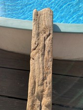 Treibholz brett balken gebraucht kaufen  Rheinmünster