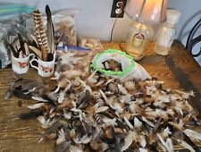 Chicken rooster duck for sale  Kennard