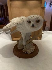 Snowy owl george for sale  Woodbine