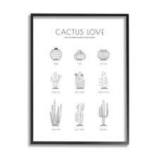 Illustrated guide succulents for sale  San Francisco