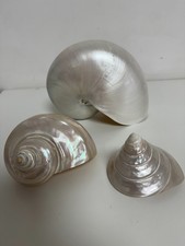 Vintage polierte wunderschöne gebraucht kaufen  Hambrücken